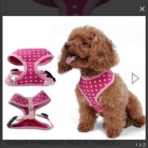 Large mesh dog harness /leash